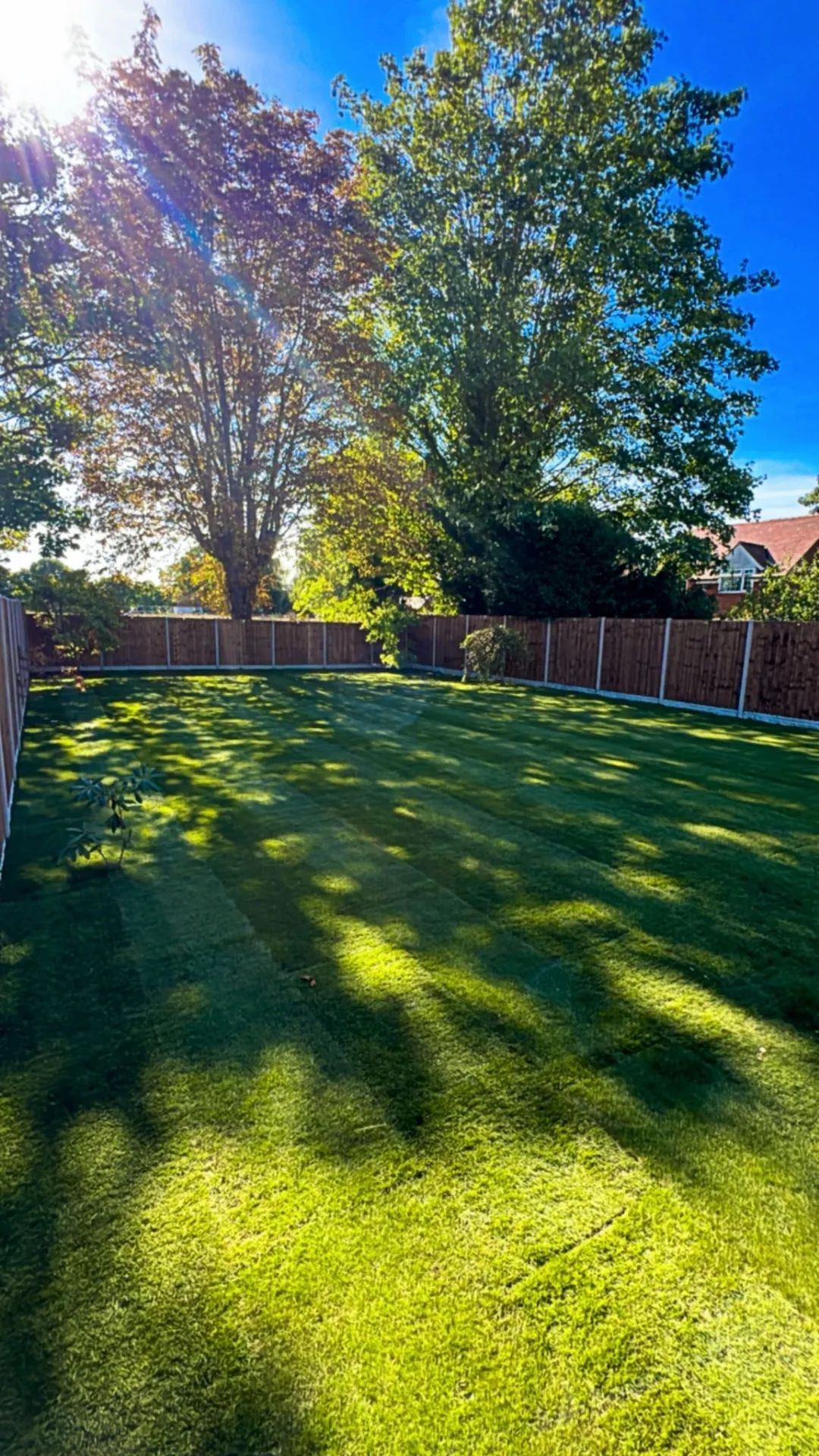 Patio & Garden Design